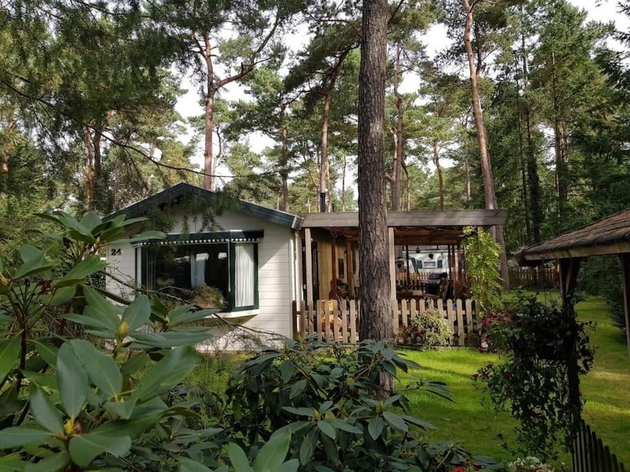 Mooi Chalet Met Grote Tuin Op Een 4 Sterren Park. Doornspijk Buitenkant foto